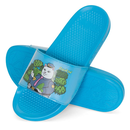 Ripndip Slides